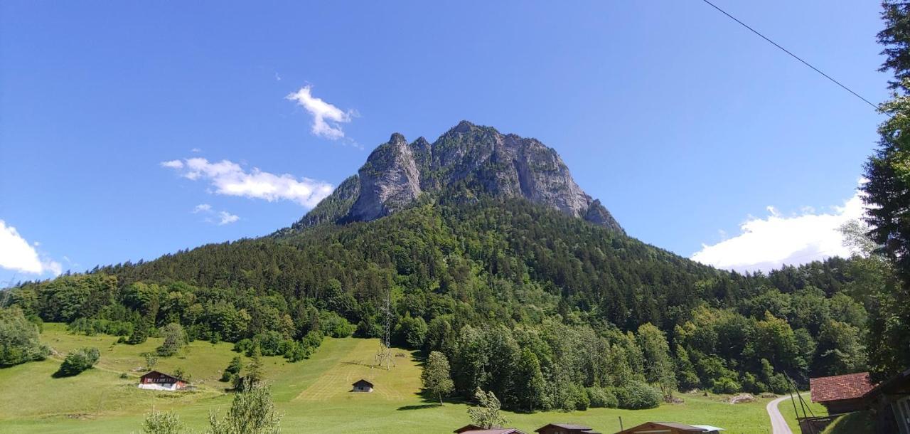 Ufem Egg Ferienwohnungen Innertkirchen Exterior foto